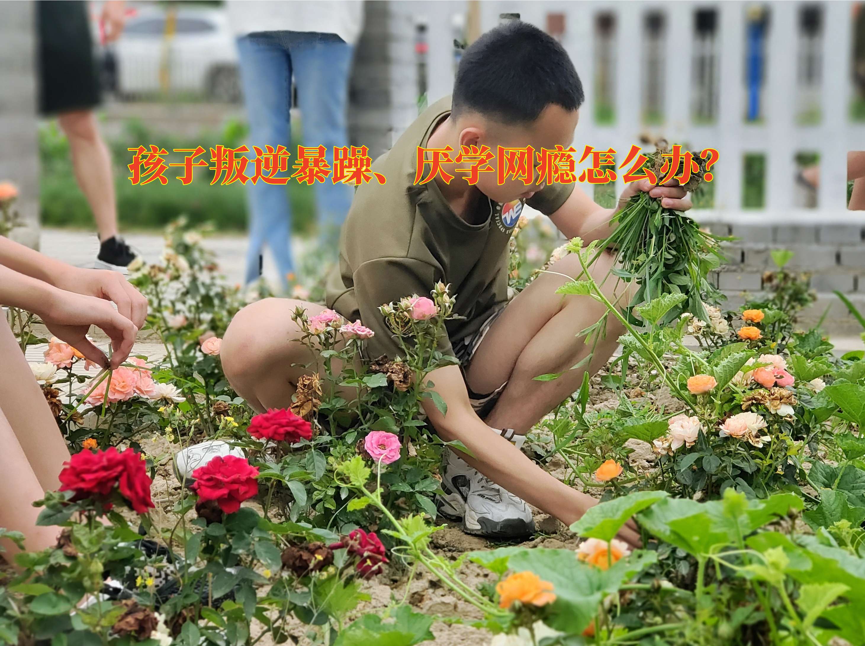脾氣暴躁教育學(xué)校,孩子脾氣暴躁矯正