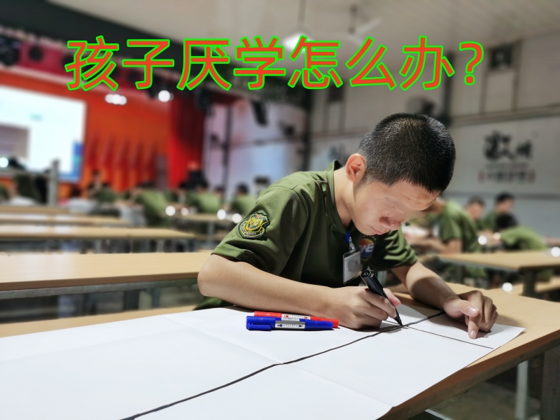 軍事夏令營(yíng),暑期夏令營(yíng)