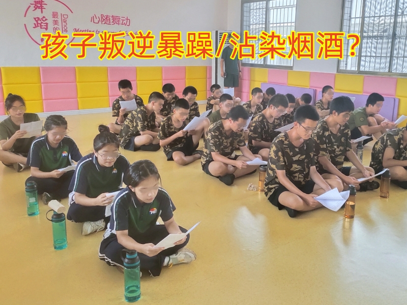行為矯正學(xué)校,正規(guī)的青少年矯正學(xué)校