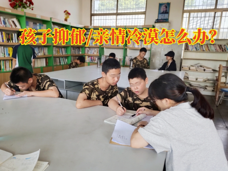 心理輔導(dǎo)學(xué)校,心理問題孩子學(xué)校