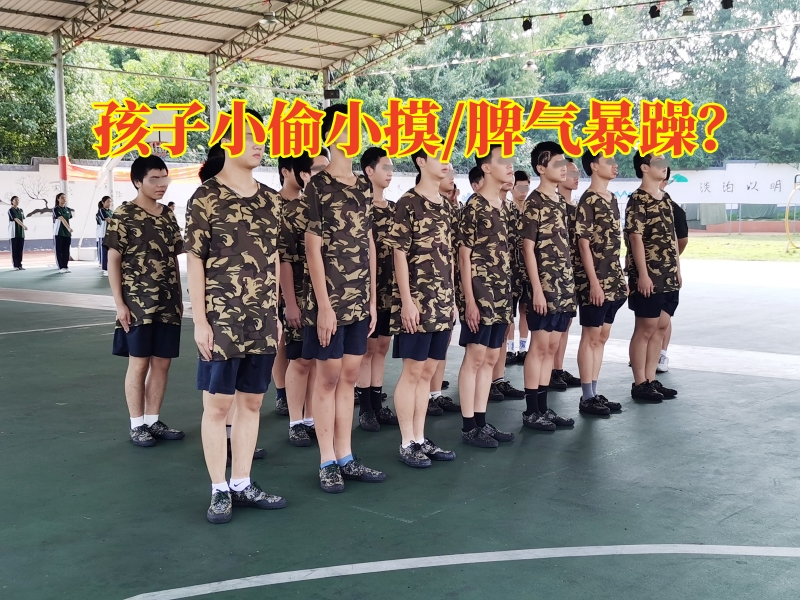 問(wèn)題孩子學(xué)校,偷東西矯正學(xué)校