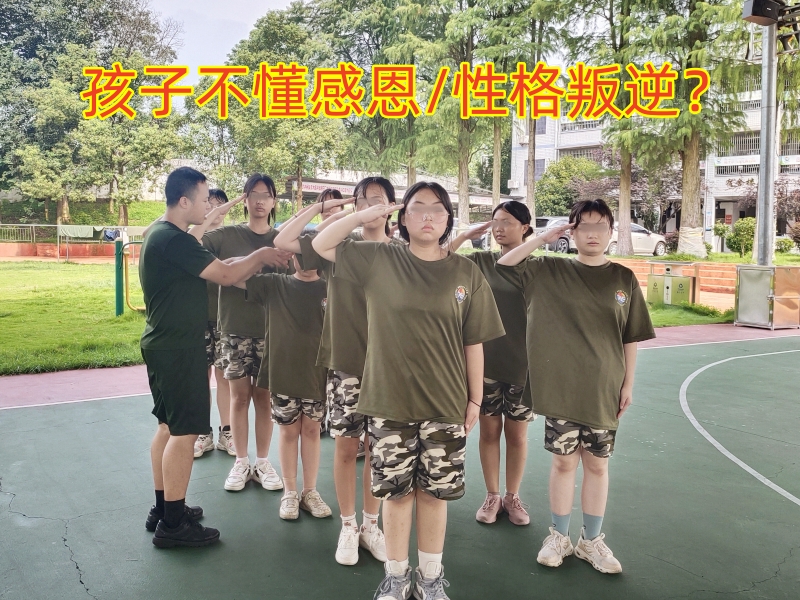 感恩教育學(xué)校,青少年教育學(xué)校