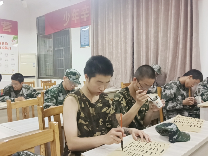 開展書法教育，領略文化之美，青少年素質教育學校
