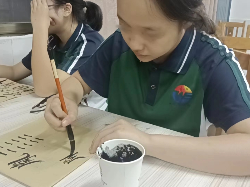 開展書法教育，領略文化之美，青少年素質教育學校
