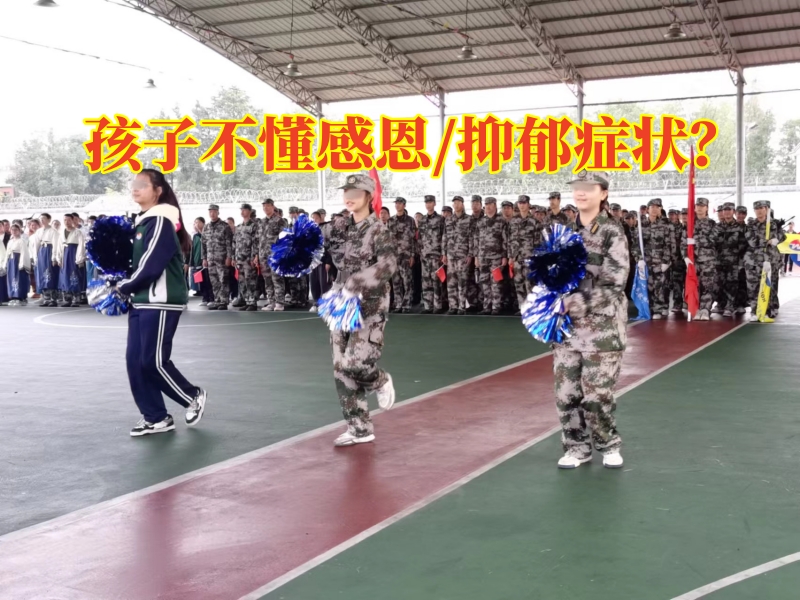  最好的教育問(wèn)題孩子的學(xué)校對(duì)孩子不懂感恩的建議