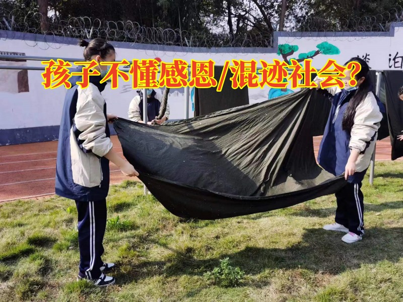 正規勵志教育學校：孩子長大后為何不懂得感恩？