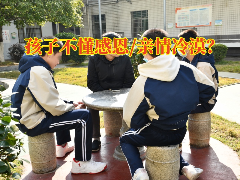感恩教育叛逆學校教會孩子感恩