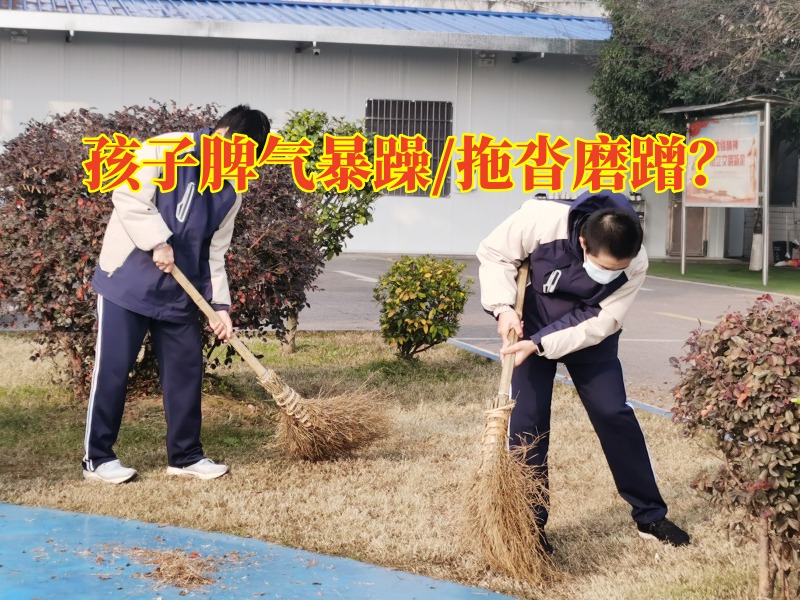 叛逆孩子不聽話學(xué)校分析導(dǎo)致孩子脾氣暴躁的三大因素