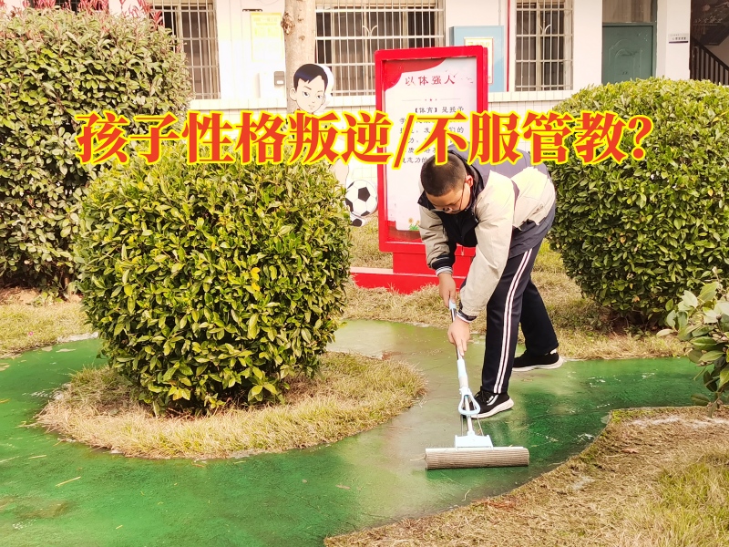 衡陽叛逆封閉式管理學(xué)校分析孩子不服管的原因
