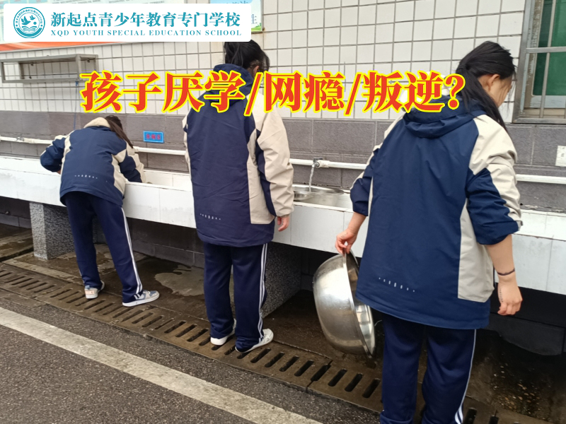 正規(guī)厭學學校輕松化解初二孩子不愿意上學問題，正規(guī)厭學學校