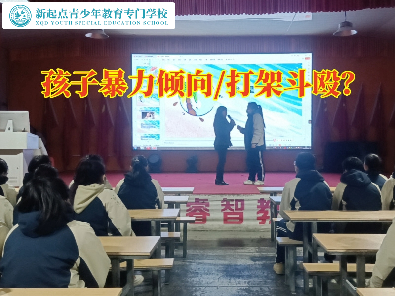 封閉式特訓(xùn)學(xué)校針對(duì)孩子打人應(yīng)該怎么教育的建議