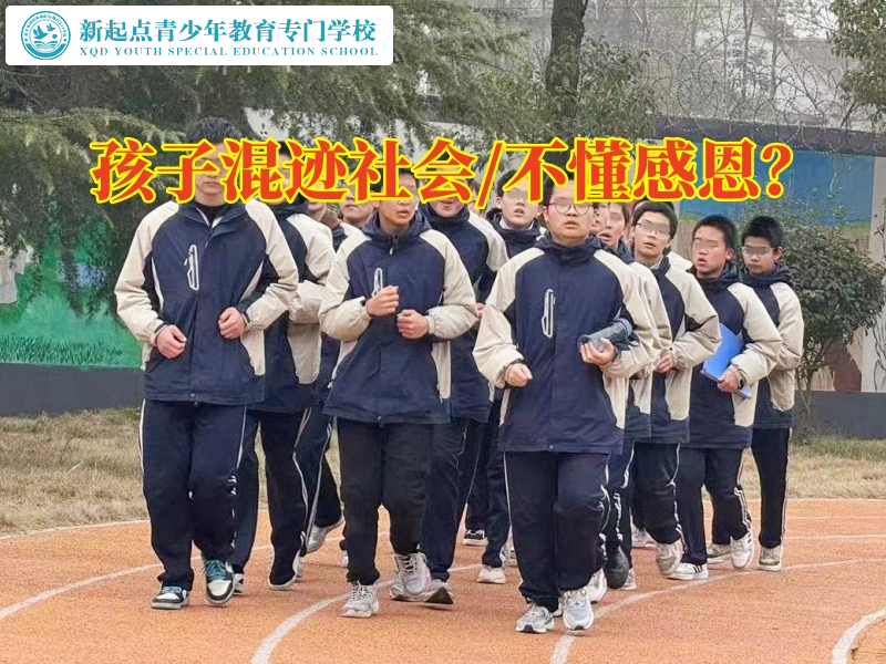 特訓(xùn)叛逆孩子學(xué)校教育混跡社會的孩子