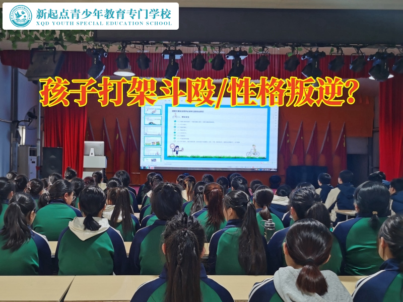 叛逆孩子教導(dǎo)學(xué)校分析孩子愛打架的原因