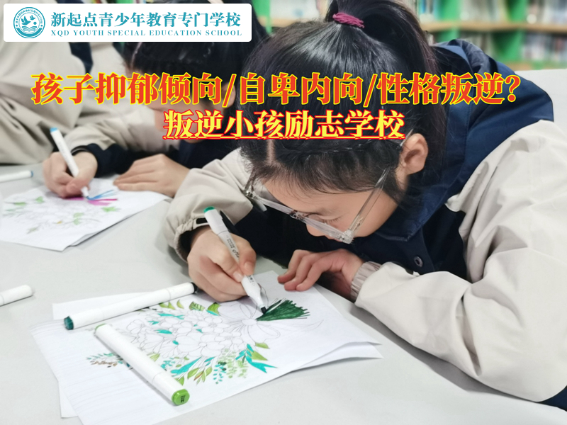 叛逆小孩勵(lì)志學(xué)校改變青少年的抑郁狀態(tài)