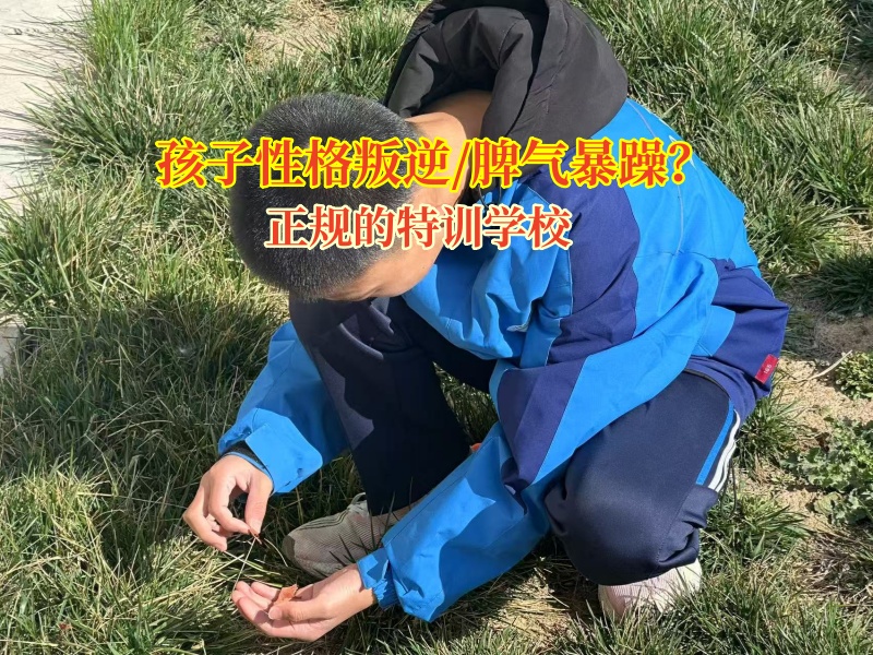 正規(guī)的特訓學校解鎖孩子脾氣暴的“金鑰匙”