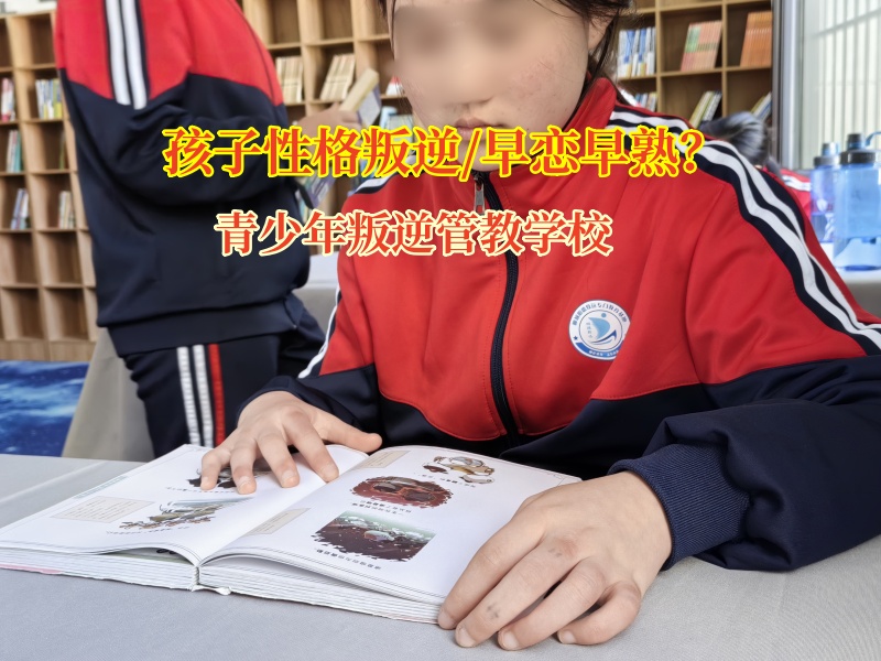 青少年叛逆管教學(xué)校解決孩子初中早戀