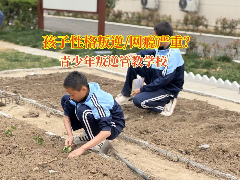 青少年叛逆管教學校矯正孩子沉迷網絡小說