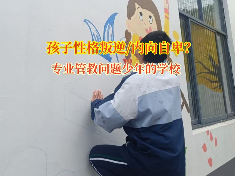 專業(yè)管教問題少年的學(xué)校教孩子走出孤僻怪圈