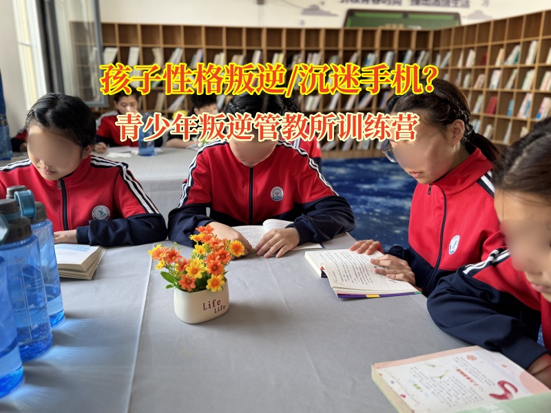 青少年叛逆管教所訓(xùn)練營(yíng)應(yīng)對(duì)孩子通宵玩手機(jī)的科學(xué)之策