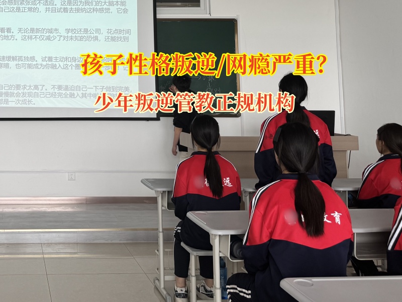 少年叛逆管教正規機構巧引青少年告別網文沉迷
