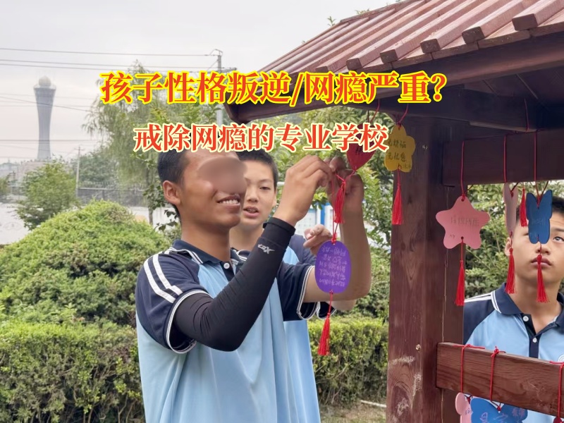 戒除網(wǎng)癮的專業(yè)學(xué)校矯正初中女孩迷戀網(wǎng)絡(luò)小說