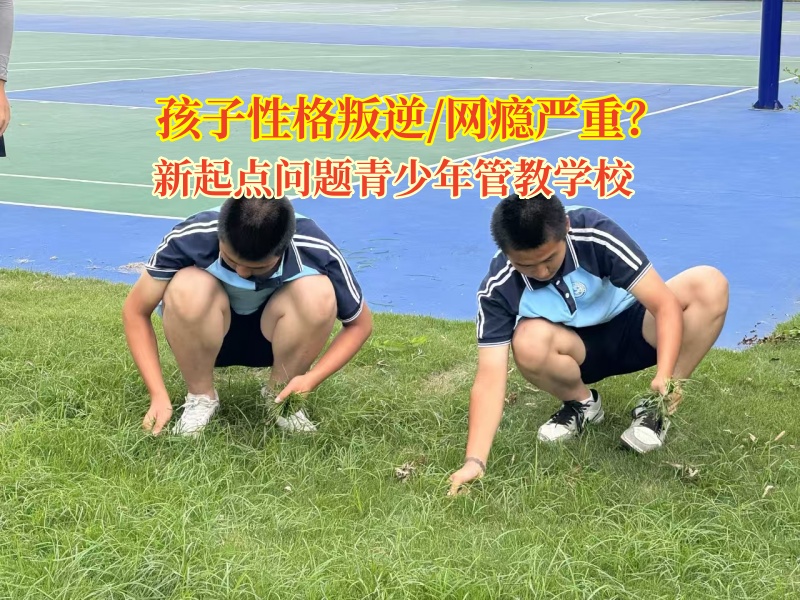 新起點(diǎn)問題青少年管教學(xué)校幫孩子戒網(wǎng)癮